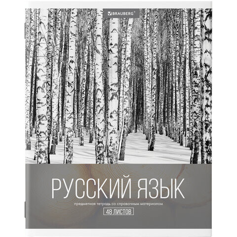 Тетрадь предметная КЛАССИКА XXI 48 листов, обложка картон, РУССКИЙ ЯЗЫК, линия, подсказ, BRAUBERG, 403949 по низкой цене оптом 