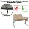 Стол-парта регулируемый "ДЭМИ" СУТ.42, 1200х550х530-815 мм, серый каркас, пластик ниагара, дуб сонома (КОМПЛЕКТ) по низкой цене оптом 