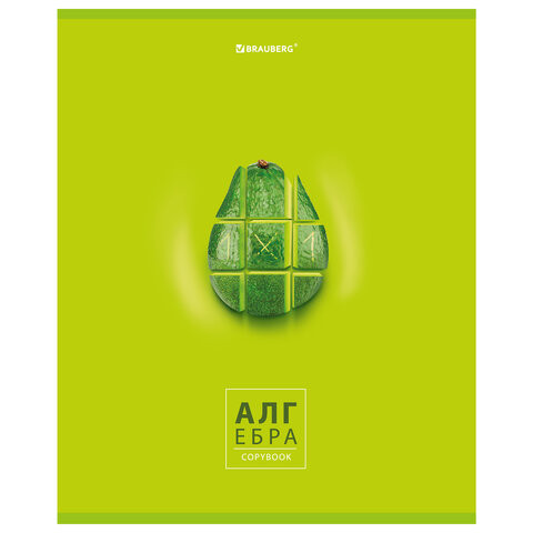 Тетрадь предметная со справочным материалом "AVOCADO" 48 л., глянцевый лак, АЛГЕБРА, клетка, BRAUBERG, 404273 по низкой цене оптом Краснодар, Москва, Уфа, Казань, Барнаул, Владивосток, Хабаровск, Сахалин, Красноярск, Екатеренбург, 