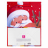 Пакет подарочный НАБОР 4 штуки, новогодний, 18х10х23 см, "Christmas Animals", ЗОЛОТАЯ СКАЗКА, 591956 по низкой цене оптом 