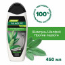 Шампунь мужской 450мл PALMOLIVE MEN "Экстракт шалфея", против перхоти, ш/к 56577, 8718951556577 по низкой цене оптом Краснодар, Москва, Уфа, Казань, Барнаул, Владивосток, Хабаровск, Сахалин, Красноярск, Екатеренбург, 