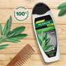 Шампунь мужской 450мл PALMOLIVE MEN "Экстракт шалфея", против перхоти, ш/к 56577, 8718951556577 по низкой цене оптом Краснодар, Москва, Уфа, Казань, Барнаул, Владивосток, Хабаровск, Сахалин, Красноярск, Екатеренбург, 