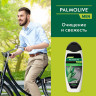 Шампунь мужской 450мл PALMOLIVE MEN "Экстракт шалфея", против перхоти, ш/к 56577, 8718951556577 по низкой цене оптом Краснодар, Москва, Уфа, Казань, Барнаул, Владивосток, Хабаровск, Сахалин, Красноярск, Екатеренбург, 