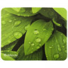 Коврик для мыши DEFENDER Sticker, полипропилен+защитная пленка, 220x180x0,4 мм, 8 видов, 50405 по низкой цене оптом Краснодар, Москва, Уфа, Казань, Барнаул, Владивосток, Хабаровск, Сахалин, Красноярск, Екатеренбург, 