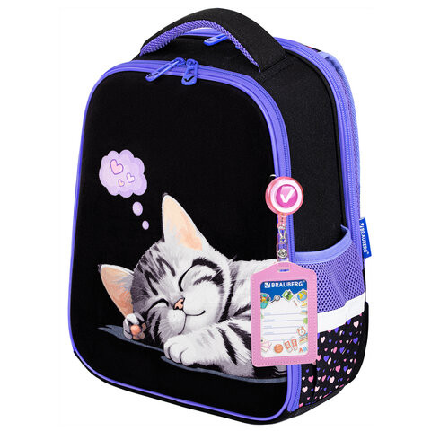 Ранец BRAUBERG FIT, 2 отделения, Sleeping kitten, велюровая панель, 38х27х14 см, 273107 по низкой цене оптом 