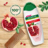 Шампунь для всех типов волос 450мл PALMOLIVE НАТУРЭЛЬ "Гранат", блеск и забота, ш/к 5, 8718951556324 по низкой цене оптом Краснодар, Москва, Уфа, Казань, Барнаул, Владивосток, Хабаровск, Сахалин, Красноярск, Екатеренбург, 