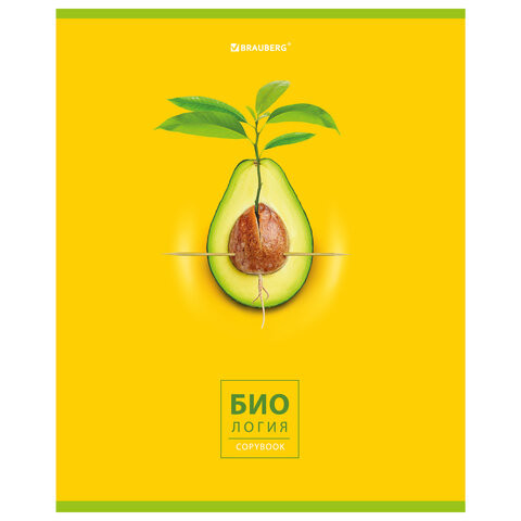 Тетрадь предметная "AVOCADO" 48 л., глянцевый лак, БИОЛОГИЯ, клетка, BRAUBERG, 404276 по низкой цене оптом Краснодар, Москва, Уфа, Казань, Барнаул, Владивосток, Хабаровск, Сахалин, Красноярск, Екатеренбург, 