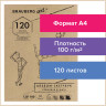 Скетчбук, слоновая кость 100 г/м2, 210х297 мм, 120 л., прошивка, BRAUBERG ART CLASSIC, 128960 по низкой цене оптом Краснодар, Москва, Уфа, Казань, Барнаул, Владивосток, Хабаровск, Сахалин, Красноярск, Екатеренбург, 