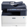 МФУ лазерное XEROX B1025dnа, "3 в 1", А3, 25 стр/мин, 50000 стр/мес, АПД, ДУПЛЕКС, сетевая карта, B1025DNA по низкой цене оптом 