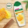 Шампунь 450мл PALMOLIVE НАТУРЭЛЬ "Мёд", для сухих поврежденных волос, ш/к 56485, 8718951556485 по низкой цене оптом Краснодар, Москва, Уфа, Казань, Барнаул, Владивосток, Хабаровск, Сахалин, Красноярск, Екатеренбург, 