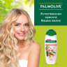 Шампунь 450мл PALMOLIVE НАТУРЭЛЬ "Миндаль", для сухих поврежденных волос, ш/к 56362, 8718951556362 по низкой цене оптом Краснодар, Москва, Уфа, Казань, Барнаул, Владивосток, Хабаровск, Сахалин, Красноярск, Екатеренбург, 