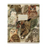 Тетрадь А5 48л. BRUNO VISCONTI скоба, клетка, Soft Touch, фольга, FAUNA (5 видов), 7-, 7-48-1365 по низкой цене оптом Краснодар, Москва, Уфа, Казань, Барнаул, Владивосток, Хабаровск, Сахалин, Красноярск, Екатеренбург, 