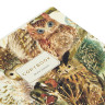 Тетрадь А5 48л. BRUNO VISCONTI скоба, клетка, Soft Touch, фольга, FAUNA (5 видов), 7-, 7-48-1365 по низкой цене оптом Краснодар, Москва, Уфа, Казань, Барнаул, Владивосток, Хабаровск, Сахалин, Красноярск, Екатеренбург, 