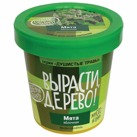 Набор для выращивания растений ВЫРАСТИ ДЕРЕВО! "Мята яблочная" (банка, грунт, семена), zk-093 по низкой цене оптом Краснодар, Москва, Уфа, Казань, Барнаул, Владивосток, Хабаровск, Сахалин, Красноярск, Екатеренбург, 