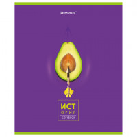 Тетрадь предметная "AVOCADO" 48 л., глянцевый лак, ИСТОРИЯ, клетка, BRAUBERG, 404280