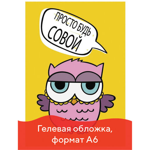 Блокнот с гелевой обложкой МАЛЫЙ ФОРМАТ (110х145 мм) А6, 56 л., скоба, клетка, CENTRUM, "Сова", 84277 по низкой цене оптом 