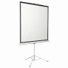 Экран проекционный на треноге 84" (156х159 см), матовый, 1:1, DIGIS KONTUR-D, DSKD-1103 по низкой цене оптом 