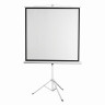 Экран проекционный на треноге 84" (156х159 см), матовый, 1:1, DIGIS KONTUR-D, DSKD-1103 по низкой цене оптом 