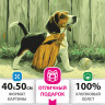 Картина по номерам 40х50 см, ОСТРОВ СОКРОВИЩ "Щенок бигля", на подрамнике, акриловые краски, 3 кисти, 662476 по низкой цене оптом 