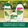 Мыло жидкое 300мл PALMOLIVE НАТУРЭЛЬ "Олива и увлажняющее молочко", дозатор, ш/к 1763, 8693495017633 по низкой цене оптом  Мыло жидкое 300мл PALMOLIVE НАТУРЭЛЬ "Олива и увлажняющее молочко", дозатор, ш/к 1763, 8693495017633 по низкой цене оптом