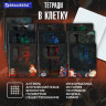 Тетради предметные, КОМПЛЕКТ 12 ПРЕДМЕТОВ, 48л, TWIN лак, BRAUBERG, ДАТЫ, 405173 по низкой цене оптом 