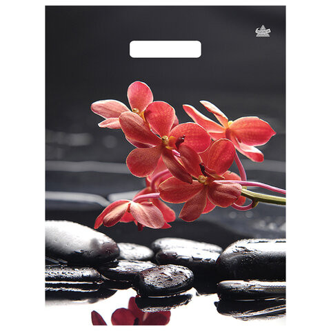 Пакет с вырубной ручкой ПВД ламинированный, 40х31см, "Гармония", 60мкм, ШК9825, н00268708