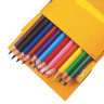Карандаши цветные BIC "Kids ECOlutions Evolution", 12 цветов, пластиковые, заточенные, европодвес, 82902910 по низкой цене оптом 