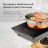 Настольная индукционная плита BQ (БИ-КЬЮ) HP106B, 2000Вт, 8 программ, электронное управление, черная, 86202117 по низкой цене оптом Краснодар, Москва, Уфа, Казань, Барнаул, Владивосток, Хабаровск, Сахалин, Красноярск, Екатеренбург, 