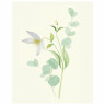 Botanical painting. Вдохновляющий курс рисования акварелью, 105550 по низкой цене оптом Краснодар, Москва, Уфа, Казань, Барнаул, Владивосток, Хабаровск, Сахалин, Красноярск, Екатеренбург, 