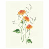 Botanical painting. Вдохновляющий курс рисования акварелью, 105550 по низкой цене оптом Краснодар, Москва, Уфа, Казань, Барнаул, Владивосток, Хабаровск, Сахалин, Красноярск, Екатеренбург, 