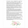 Botanical painting. Вдохновляющий курс рисования акварелью, 105550 по низкой цене оптом Краснодар, Москва, Уфа, Казань, Барнаул, Владивосток, Хабаровск, Сахалин, Красноярск, Екатеренбург, 
