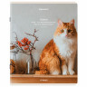 Тетрадь А5, 48 л., BRAUBERG, скоба, клетка, матовая ламинация, Cats, (микс в спайке), 405334 по низкой цене оптом 