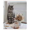 Тетрадь А5, 48 л., BRAUBERG, скоба, клетка, матовая ламинация, Cats, (микс в спайке), 405334 по низкой цене оптом 