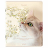 Тетрадь А5, 48 л., BRAUBERG, скоба, клетка, матовая ламинация, Cats, (микс в спайке), 405334 по низкой цене оптом 