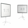 Экран проекционный на треноге 100" (186х189 см), матовый, 1:1, DIGIS KONTUR-D, DSKD-1105 по низкой цене оптом 