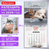Календарь настенный перекидной 2025г, BRAUBERG, 12 листов, 29х29см, "Не падай духом", 116163 по низкой цене оптом  Календарь настенный перекидной 2025г, BRAUBERG, 12 листов, 29х29см, "Не падай духом", 116163 по низкой цене оптом
