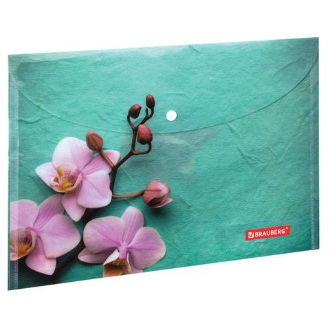Папка-конверт с кнопкой BRAUBERG "FLOWER", А4, 160 мкм, до 100 листов, цветная печать, 228031 по низкой цене оптом 