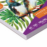 Скетчбук-блокнот для рисования белая бумага 100 г/м2, 190х190 мм, 60 л., КОМПЛЕКТ 2 шт., BRAUBERG, 880273, 110998 по низкой цене оптом 