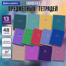Тетради предметные, КОМПЛЕКТ 13 ПРЕДМЕТОВ, 48л, матовая ламинация, BRAUBERG, MONOCOLOR, 405175 по низкой цене оптом 