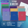 Тетради предметные, КОМПЛЕКТ 13 ПРЕДМЕТОВ, 48л, матовая ламинация, BRAUBERG, MONOCOLOR, 405175 по низкой цене оптом 