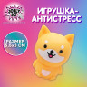 Игрушка-антистресс "ВЕСЁЛЫЙ ПЁСИК", 5,5х8 см, дисплей, JOLLY JOT (ДЖОЛЛИ ДЖОТ), 665802 по низкой цене оптом 