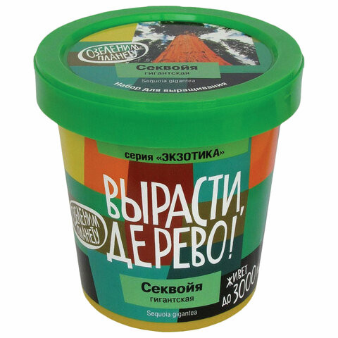Набор для выращивания растений ВЫРАСТИ ДЕРЕВО! "Секвойя" (банка, грунт, семена), zk-046 по низкой цене оптом Краснодар, Москва, Уфа, Казань, Барнаул, Владивосток, Хабаровск, Сахалин, Красноярск, Екатеренбург, 
