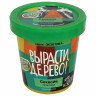 Набор для выращивания растений ВЫРАСТИ ДЕРЕВО! "Секвойя" (банка, грунт, семена), zk-046 по низкой цене оптом Краснодар, Москва, Уфа, Казань, Барнаул, Владивосток, Хабаровск, Сахалин, Красноярск, Екатеренбург, 