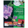 Самоучитель по рисованию гуашью. Экспресс-курс: учимся рисовать с нуля, 171814 по низкой цене оптом Краснодар, Москва, Уфа, Казань, Барнаул, Владивосток, Хабаровск, Сахалин, Красноярск, Екатеренбург, 