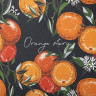 Ежедневник недатированный А5 (138х213 мм), BRAUBERG VISTA, под кожу, гибкий, 136 л., "Orange story", 112018 по низкой цене оптом 