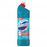Чистящее средство 1 л, DOMESTOS (Доместос) "Свежесть Атлантики", с отбеливающим эффектом по низкой цене оптом Краснодар, Москва, Уфа, Казань, Барнаул, Владивосток, Хабаровск, Сахалин, Красноярск, Екатеренбург, 