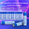 Батарейки алкалиновые "мизинчиковые" КОМПЛЕКТ 12 шт., CROMEX Alkaline, AAA (LR03, 24A), спайка, 456259 по низкой цене оптом Краснодар, Москва, Уфа, Казань, Барнаул, Владивосток, Хабаровск, Сахалин, Красноярск, Екатеренбург, 