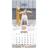 Календарь настенный перекидной 2026г, BRAUBERG, 12 листов, 21,3х21,3см, МИНИ, Не падай духом, 116942 по низкой цене оптом 
