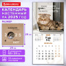 Календарь настенный перекидной 2025г, BRAUBERG, 12 листов, 29х29см, Смешные котики, 116165 по низкой цене оптом  Календарь настенный перекидной 2025г, BRAUBERG, 12 листов, 29х29см, Смешные котики, 116165 по низкой цене оптом
