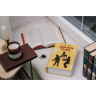 Сейф-книга "12 стульев", 60х170х240 мм, ключевой замок, BRAUBERG, 291058 по низкой цене оптом Краснодар, Москва, Уфа, Казань, Барнаул, Владивосток, Хабаровск, Сахалин, Красноярск, Екатеренбург, 